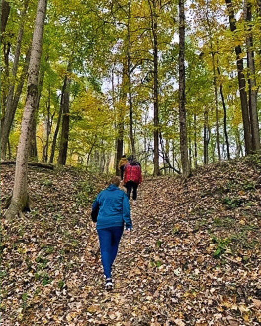 Two people walking a wooded trail together